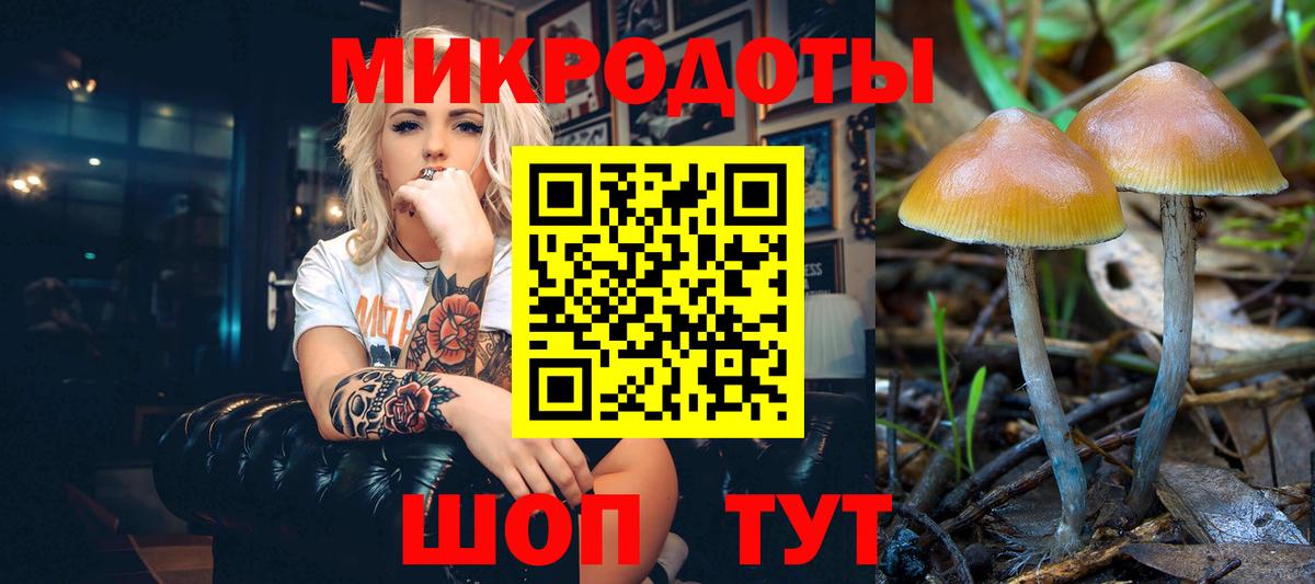 Артёмовский  Псилоцибиновые грибы прущие грибы  Вход с VPN 